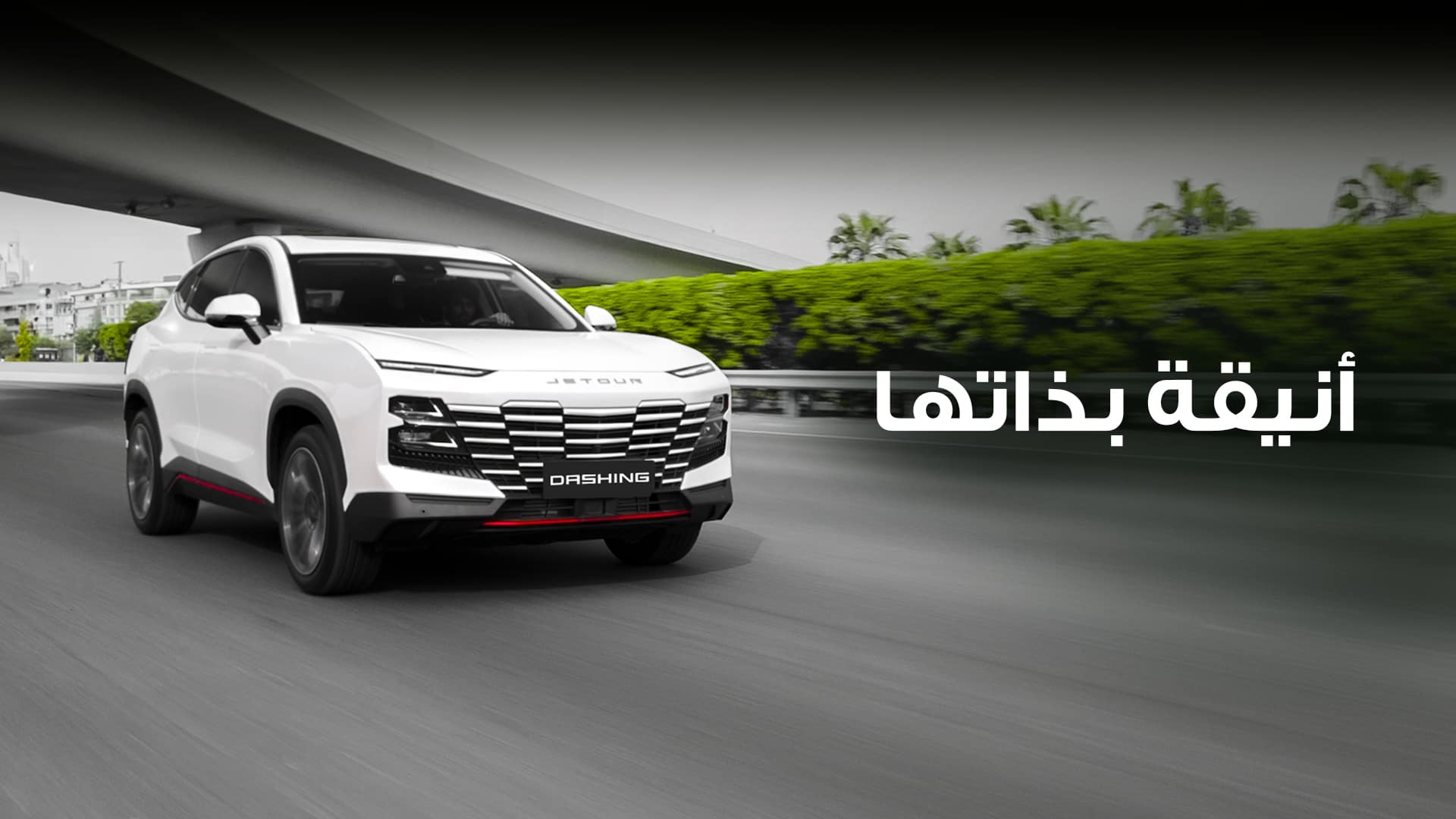 Dashing Arabic 