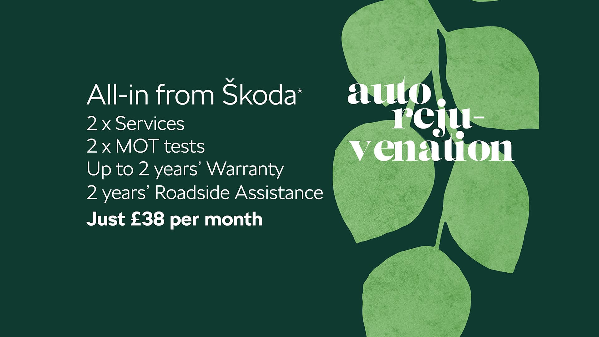 Skoda All-in