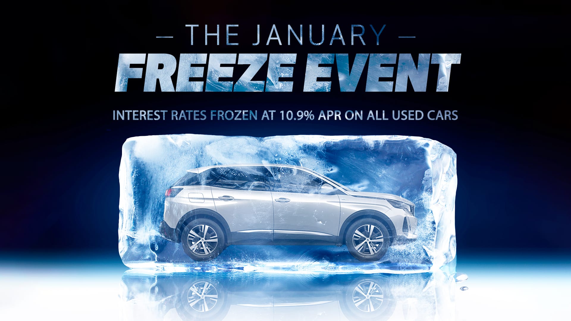 The January Freeze Event