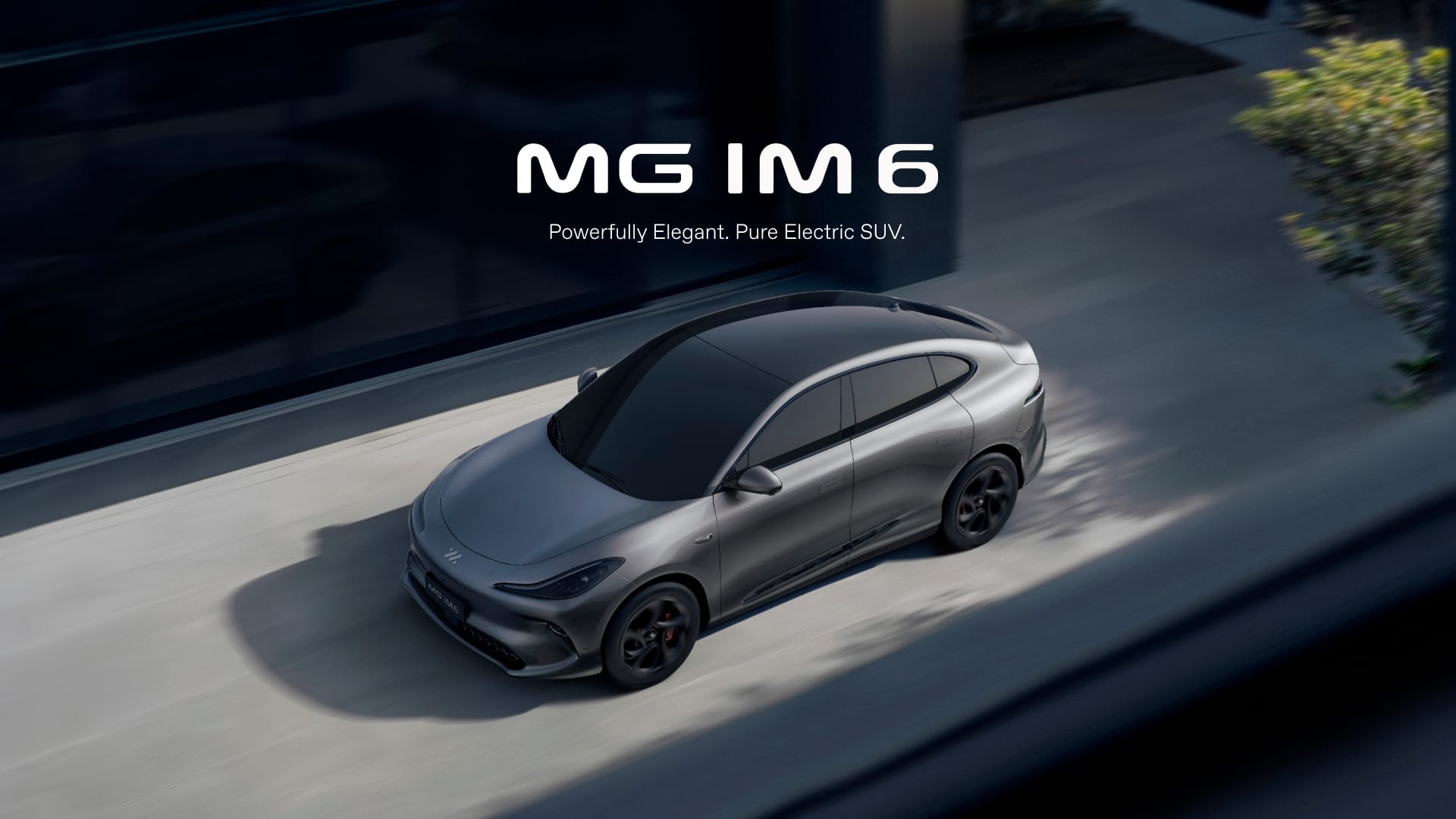mg im6
