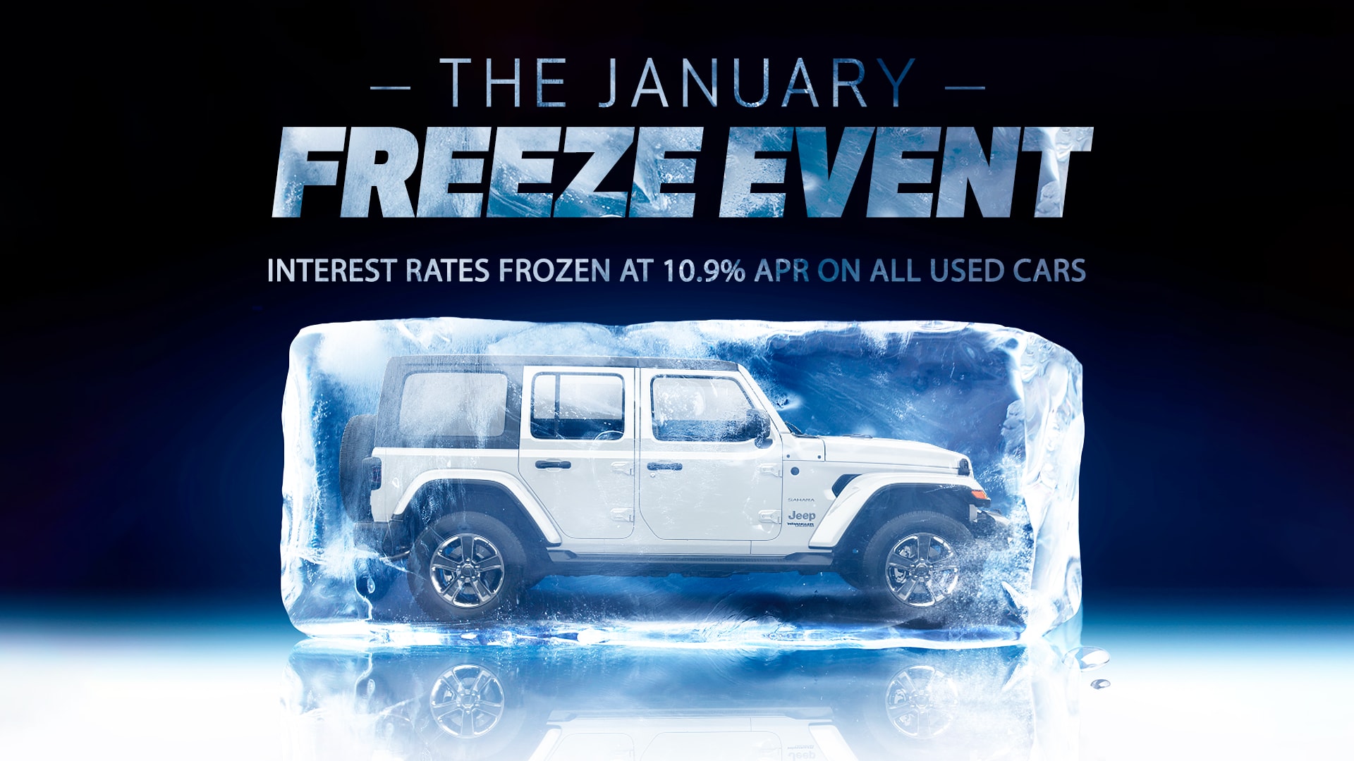 The January Freeze Event