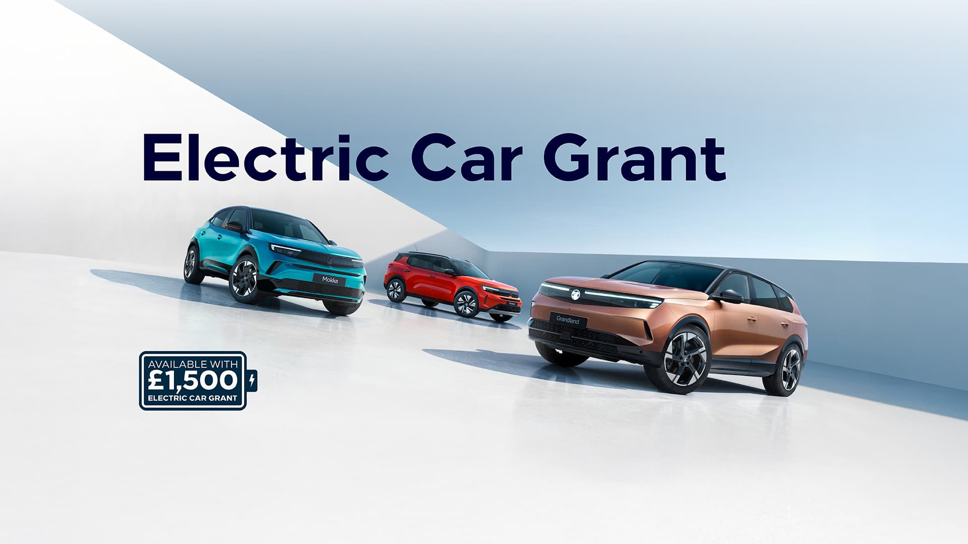Electric Car Grant