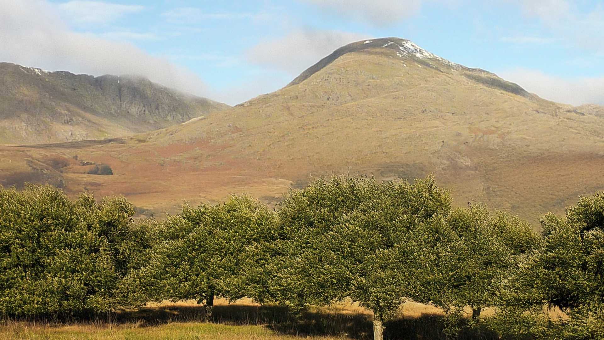 FRONT PAGE BANNER MOUNTAIN