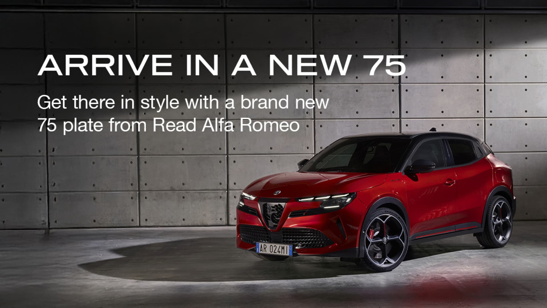 75 plate new alfa