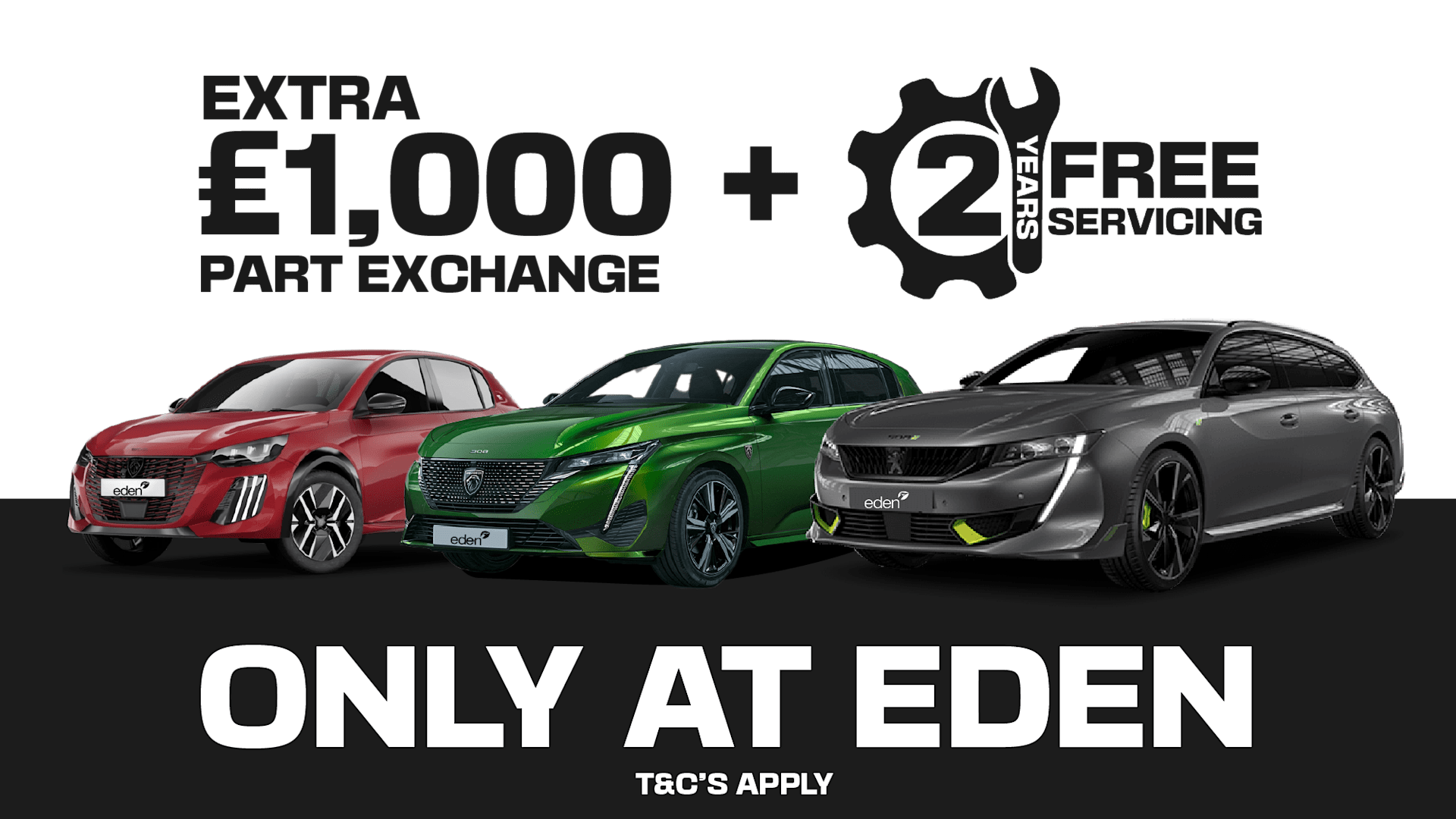 2025 Special Offer