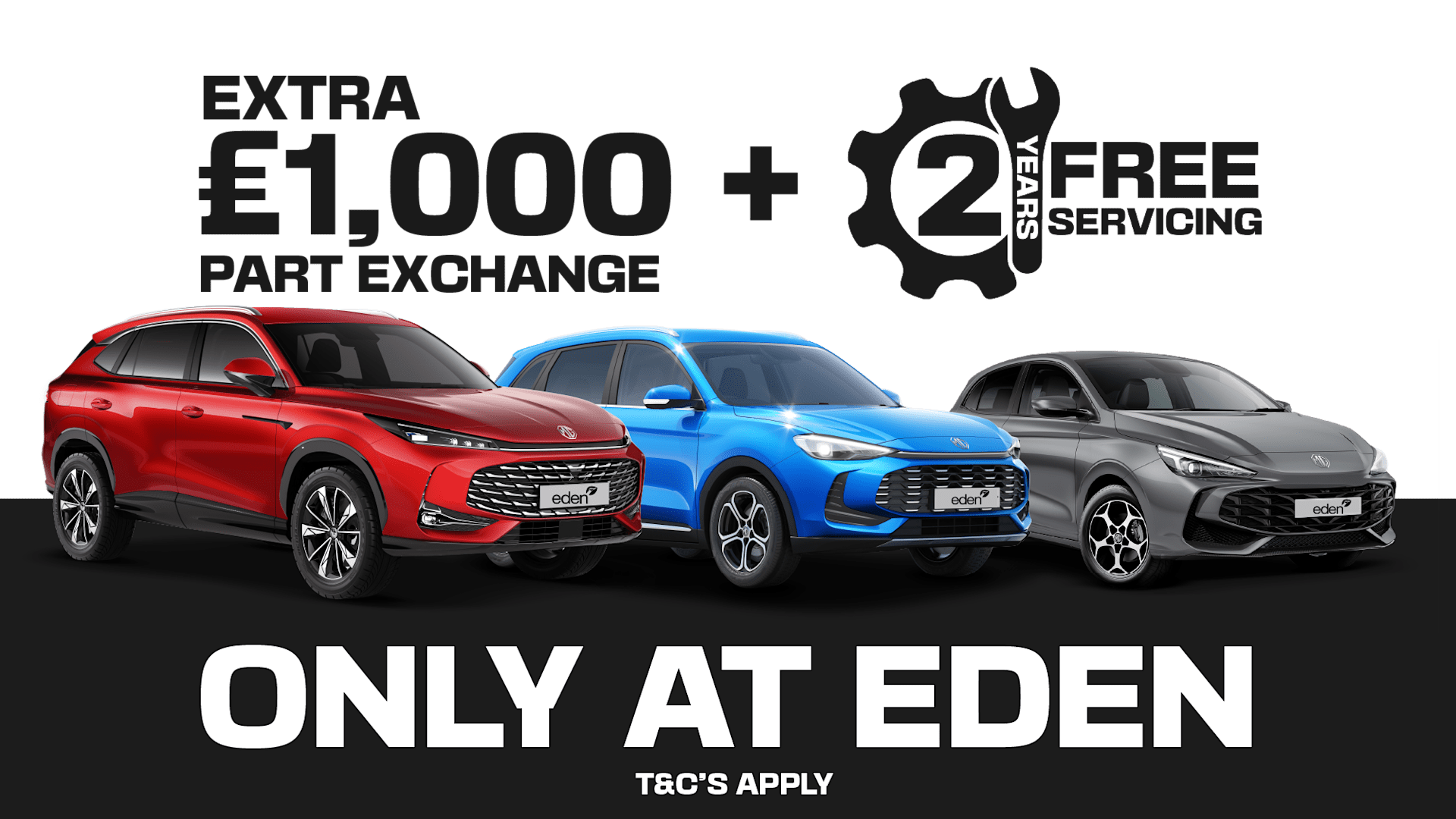 2025 Special Offer