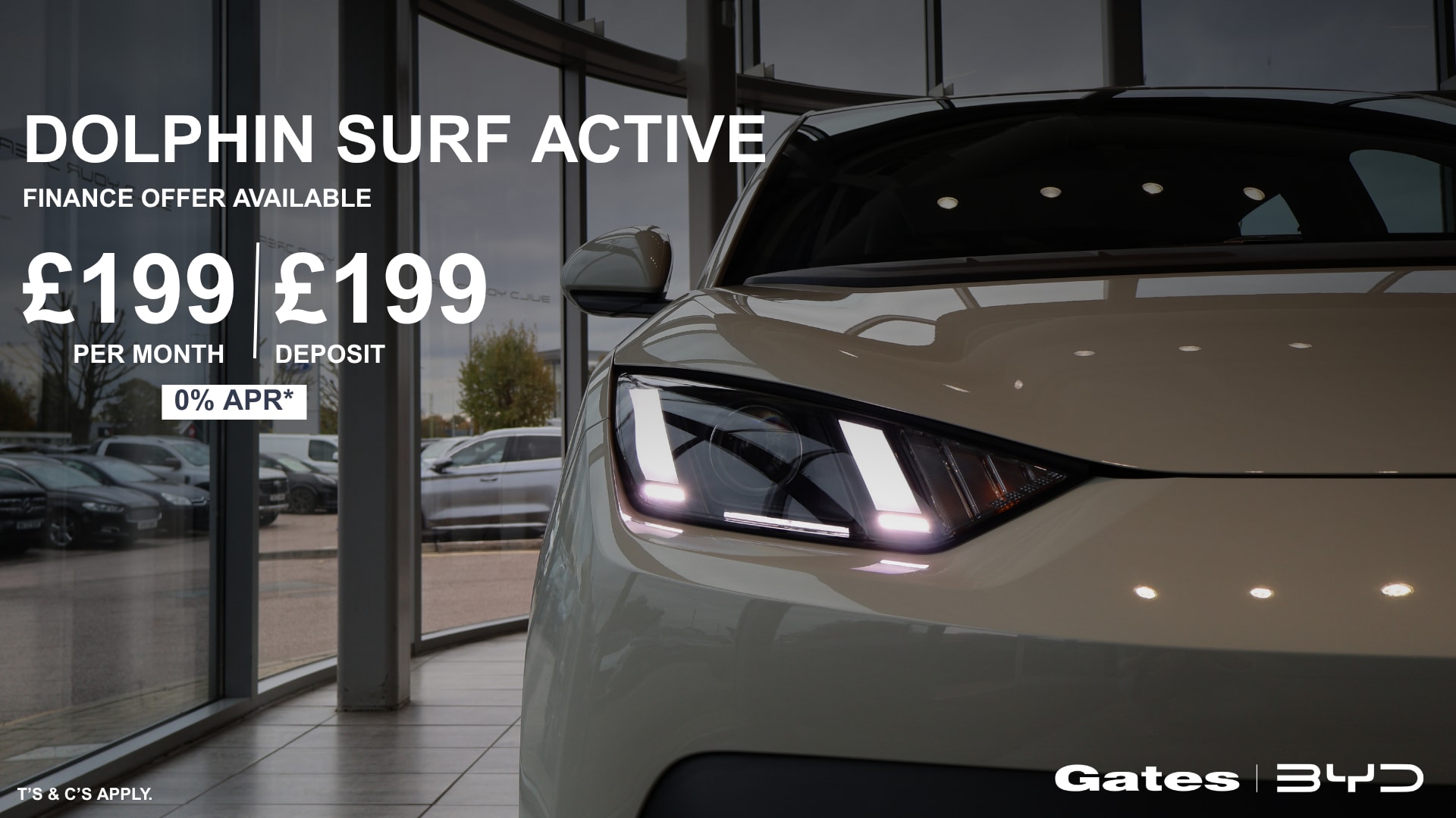 Dolphin Surf Active Q4