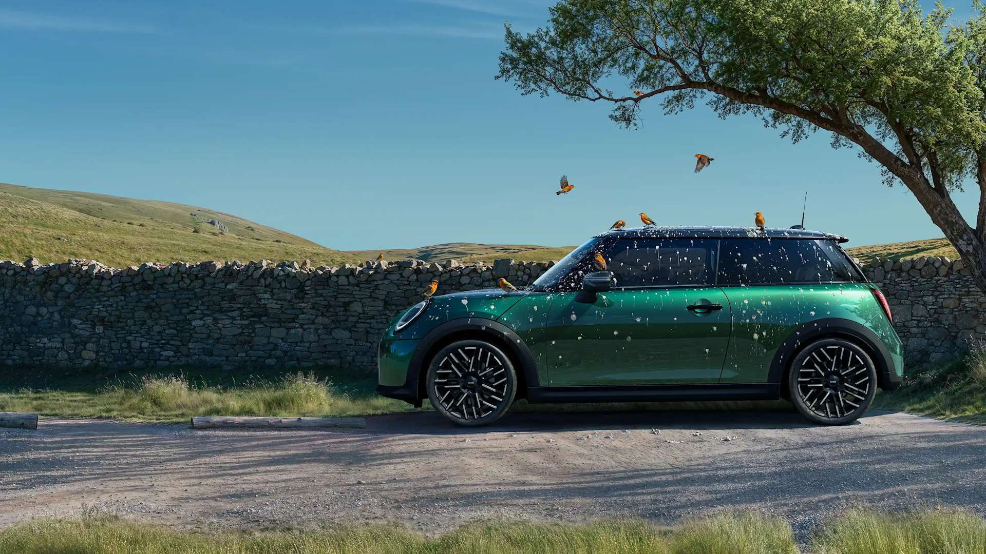 MINI SERVICE.