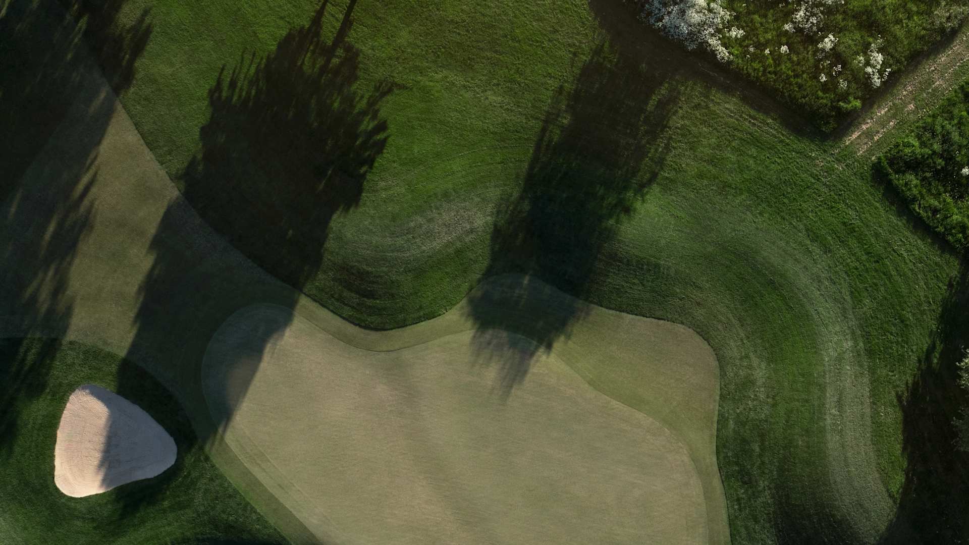 The Perfect Drive Begins Now