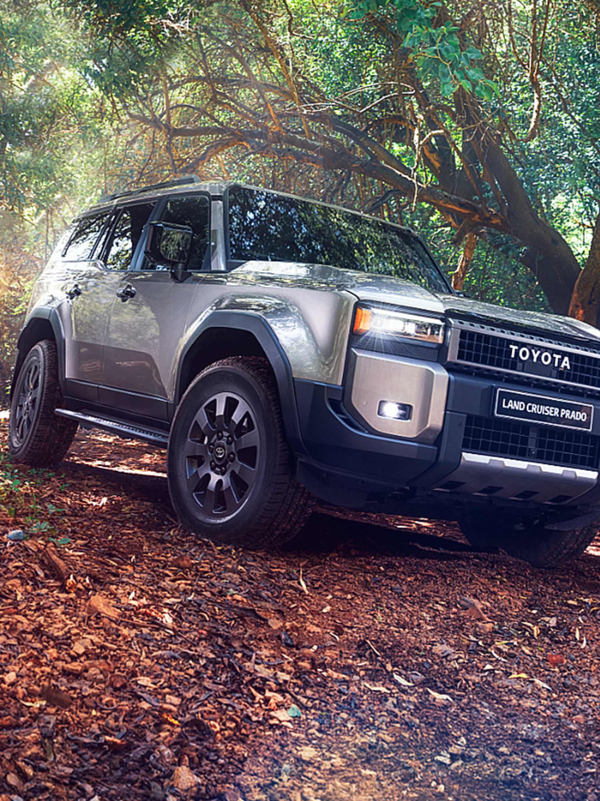 Land Cruiser Prado