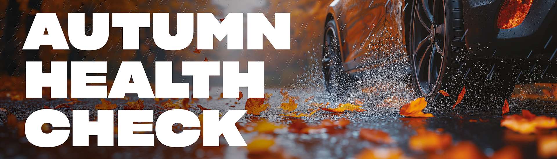 Autumn Health Check