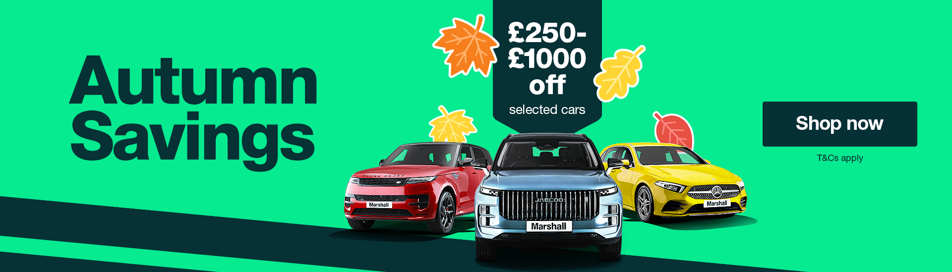 Autumn Offers now on