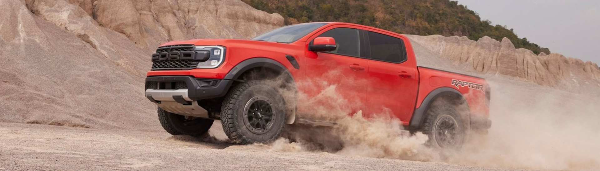 raptor in page banner 