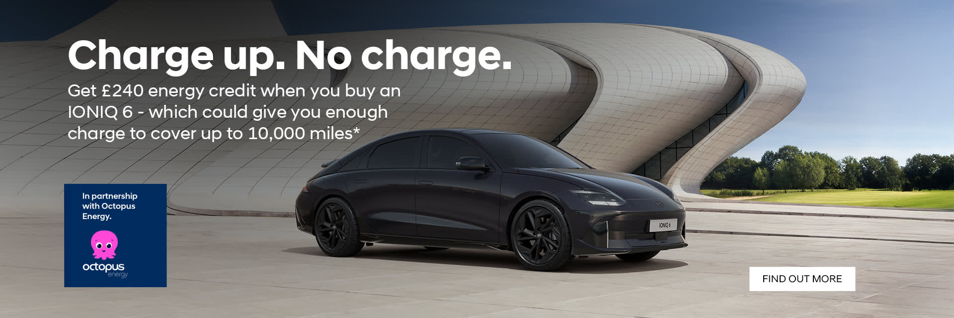 OCTOPUS ENERGY IONIQ 6 