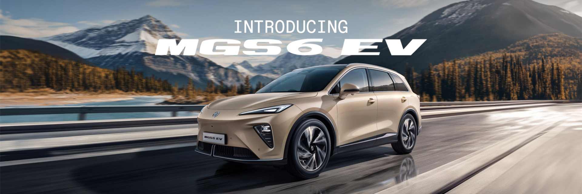 Introducing the MGS6 EV