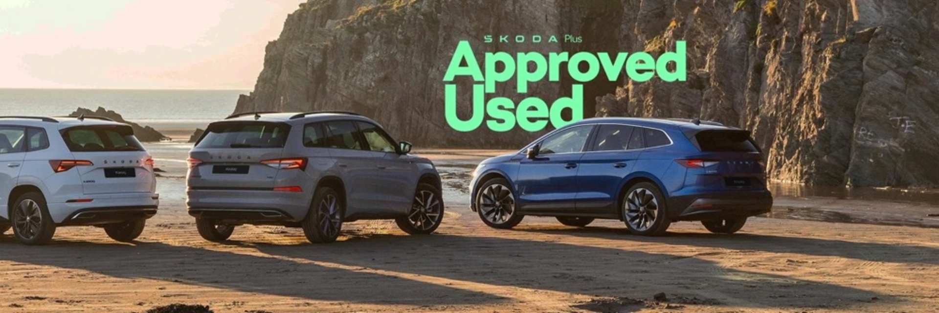 Skoda Cars Over 12 Months Old