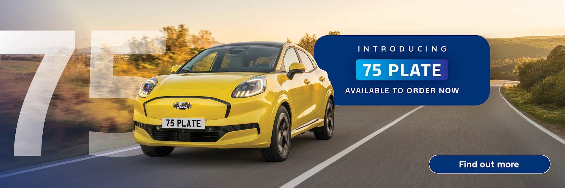Ford 75 Plate Web Banner 
