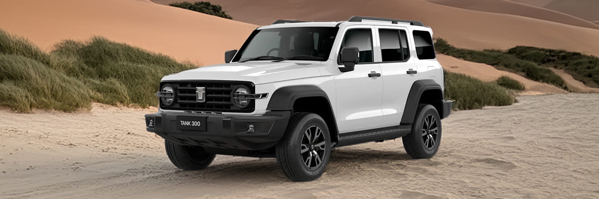 The New GWM Tank 300