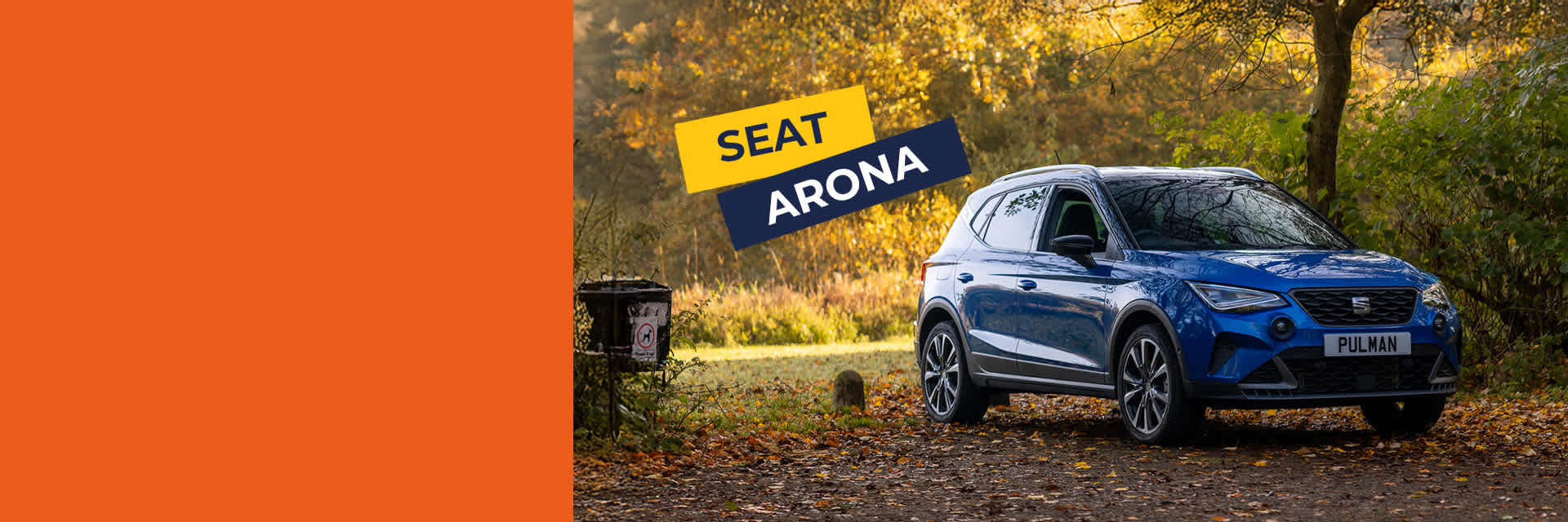 NEW ARONA OFFER