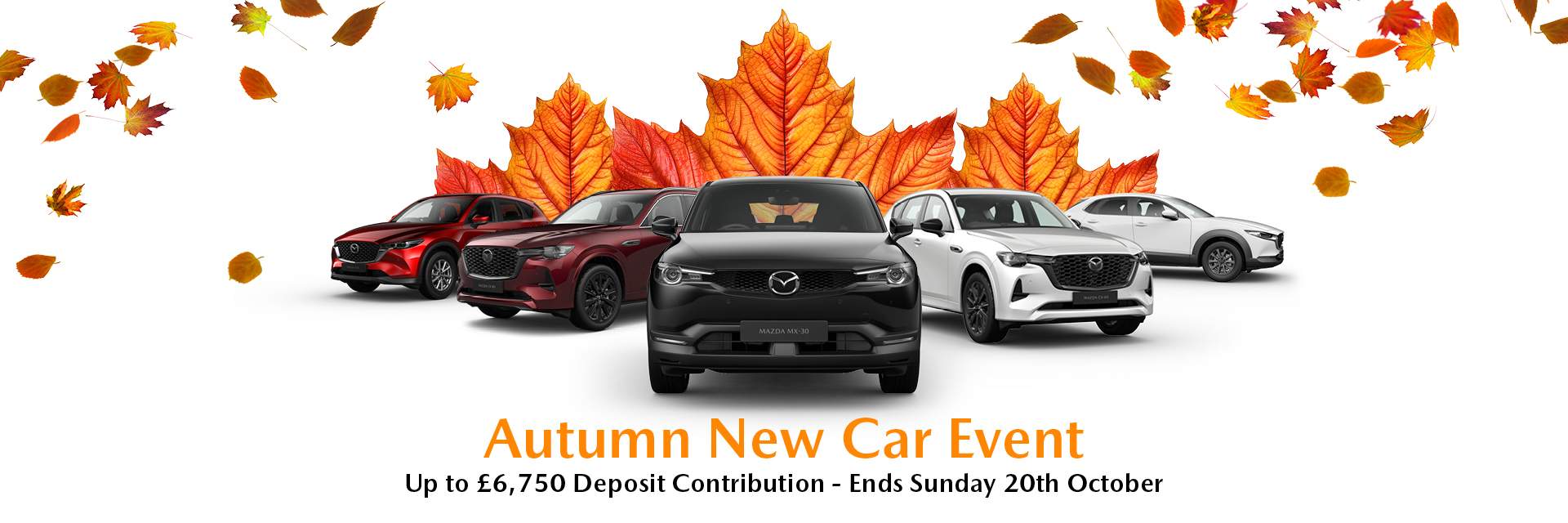 Autumn Offers