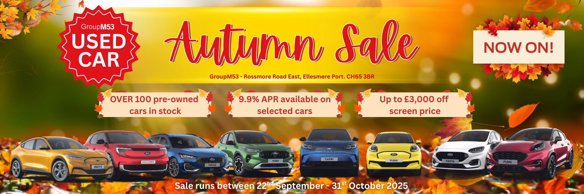 Used cars autumn