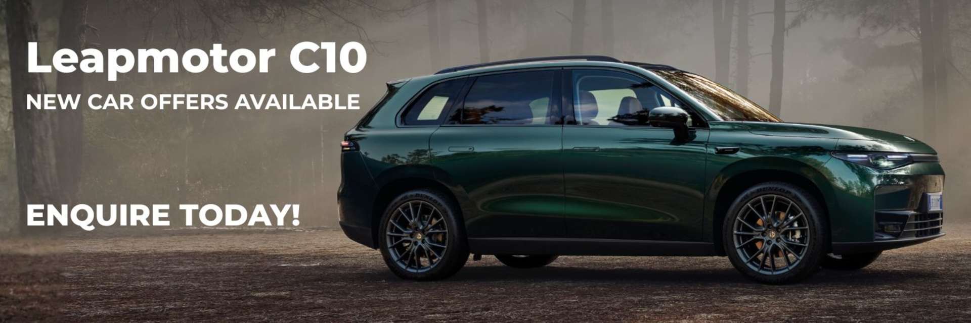 Leapmotor C10 Web Head Pano