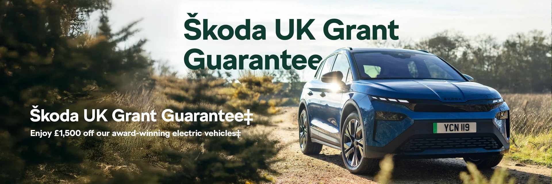 Skoda UK Grant Guarantee