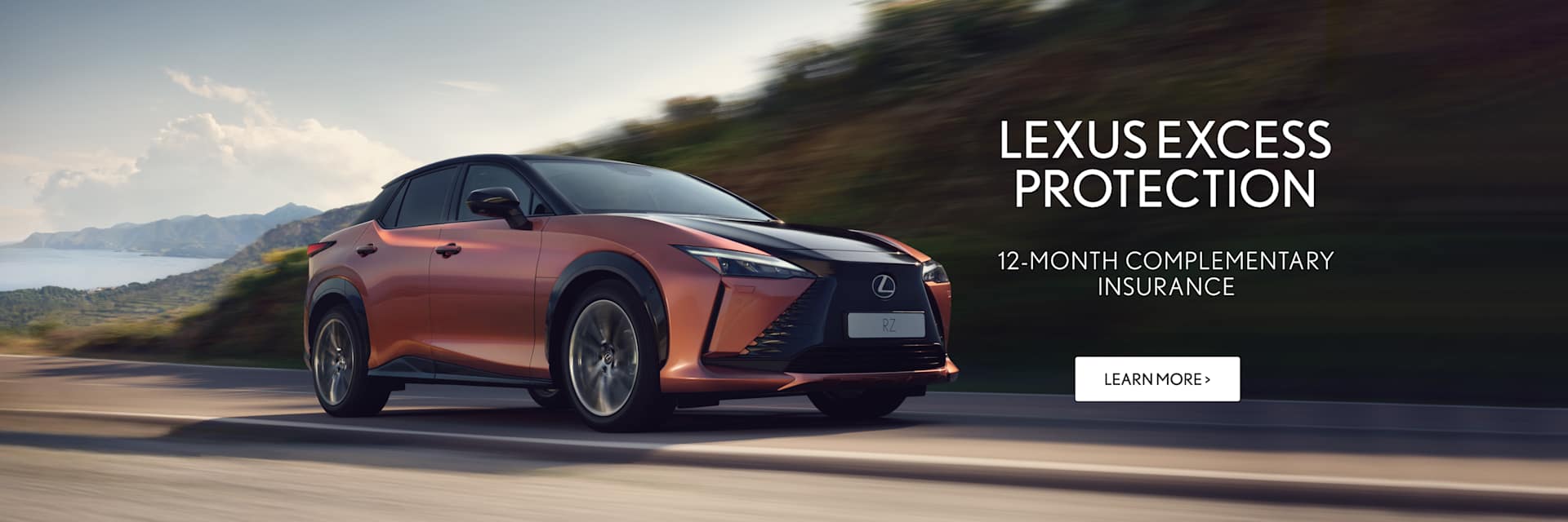 Lexus Excess Protection