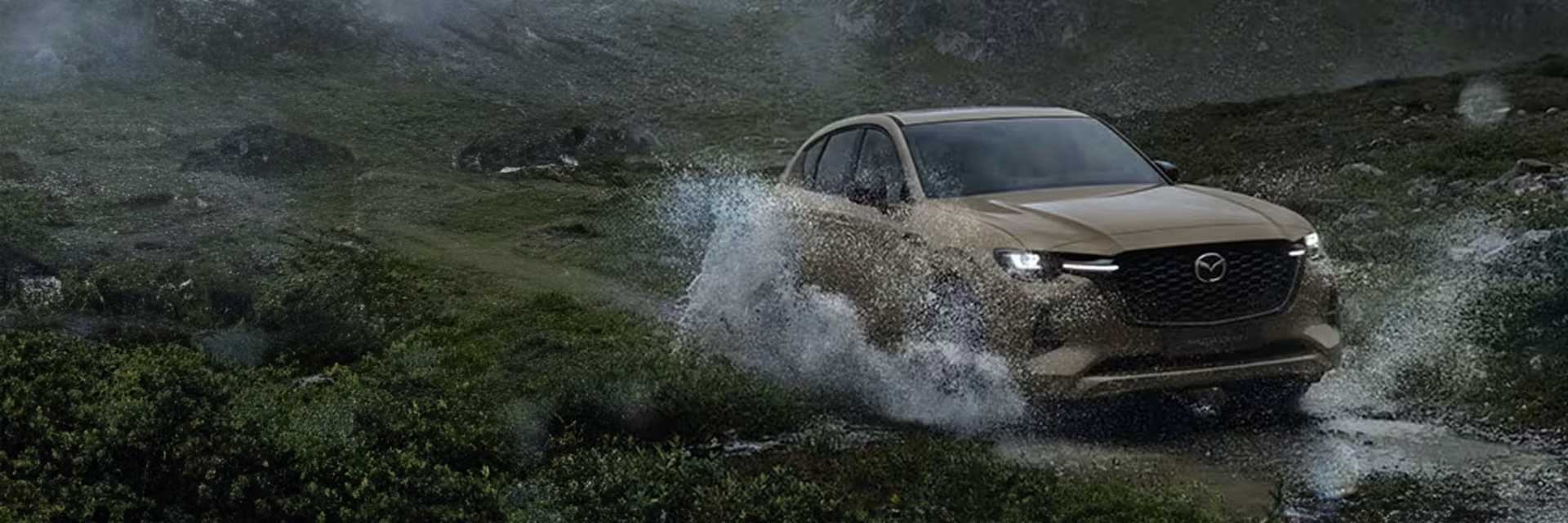 View the latest new car models at RRG