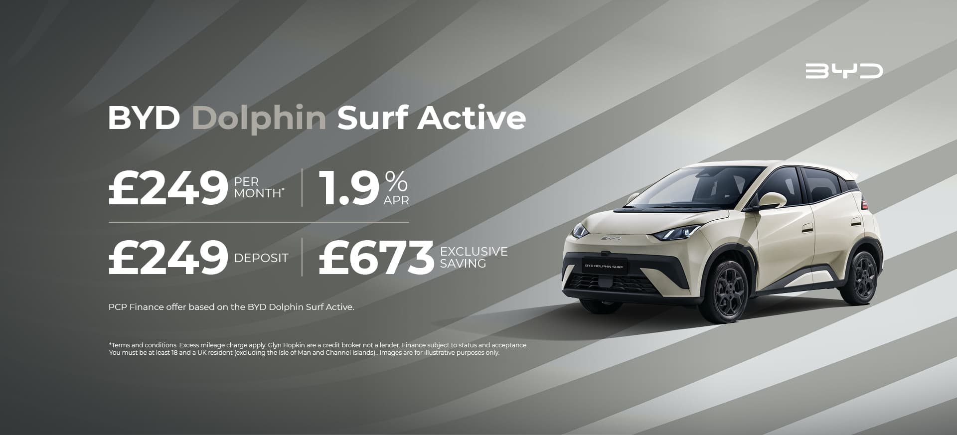 BYD Banner Dolphin
