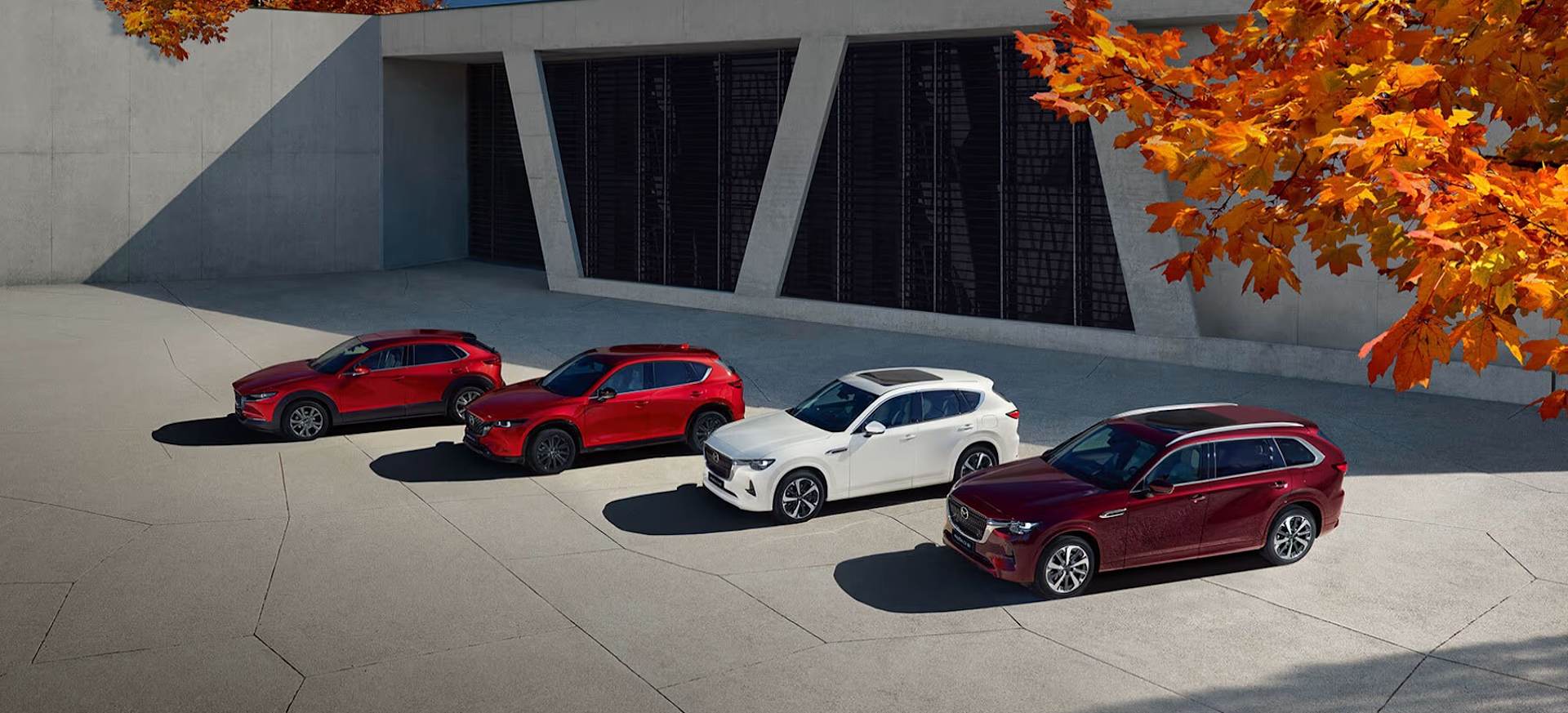 New Car Offers