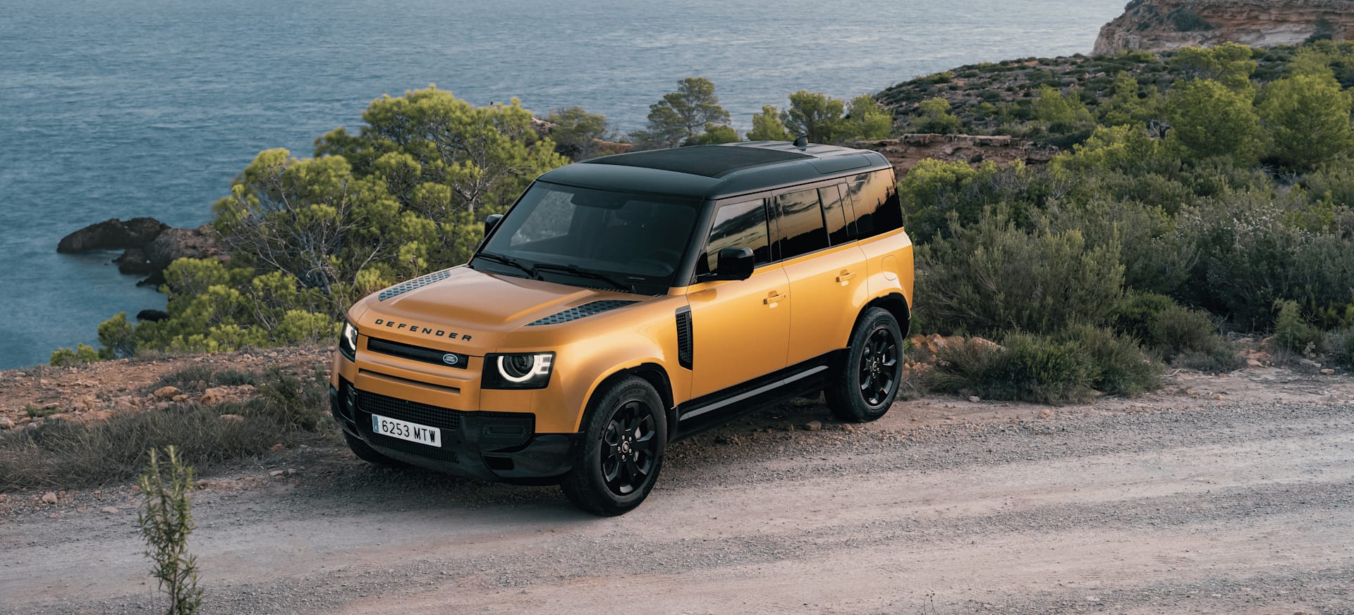 Defender 