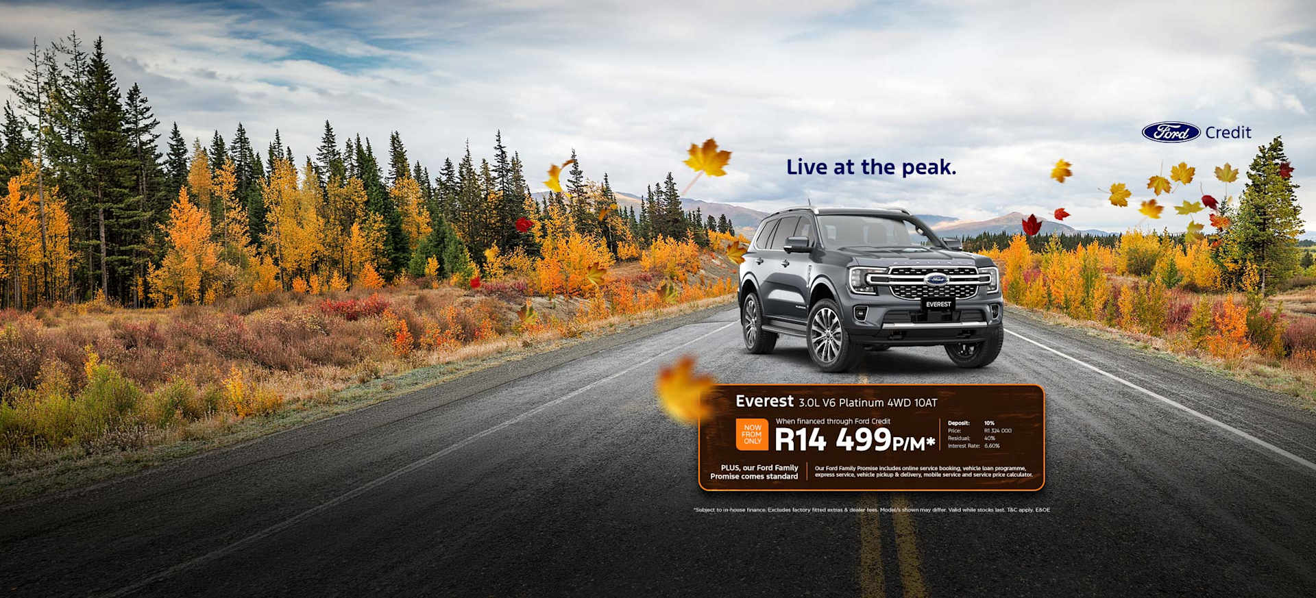 Ford Everest 3.0L V6 Platinum Special from R14 499pm*