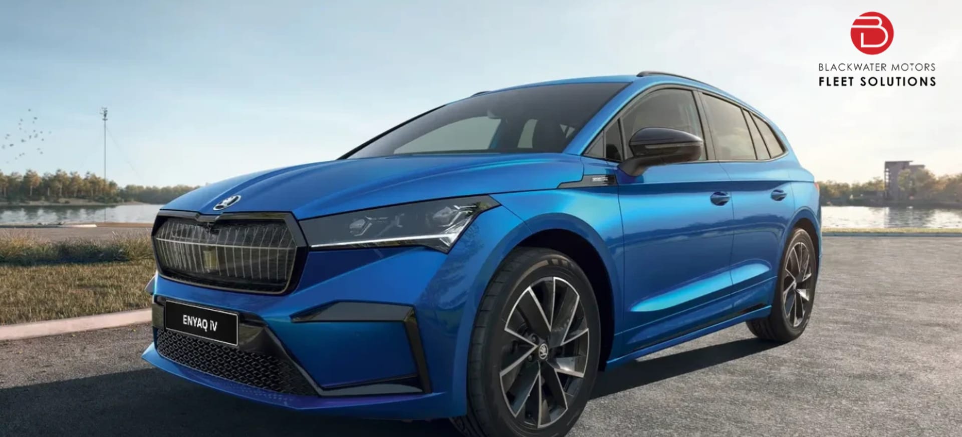 201 Polo