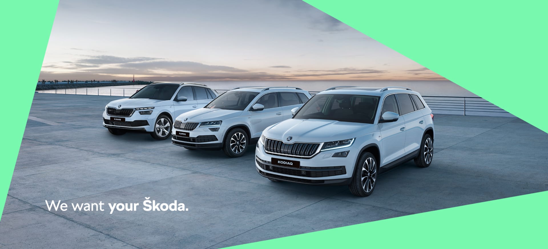 Skoda We Want Your Car Campaign 11x5
