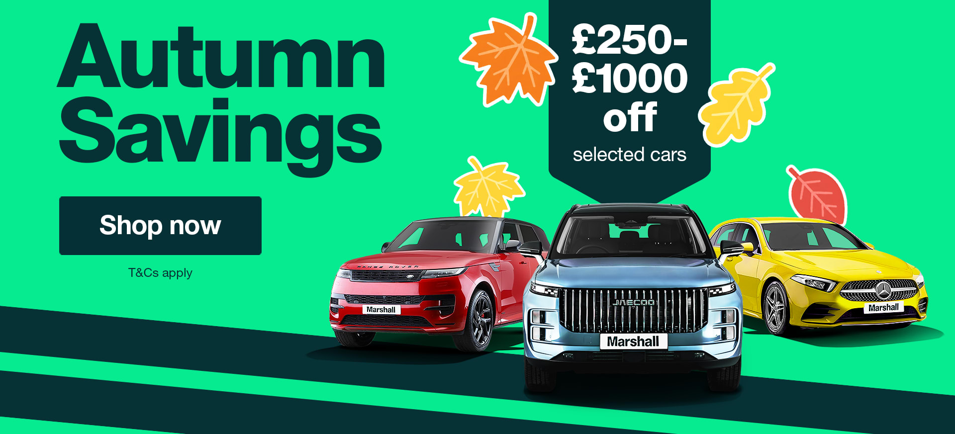 Autumn Offers now on