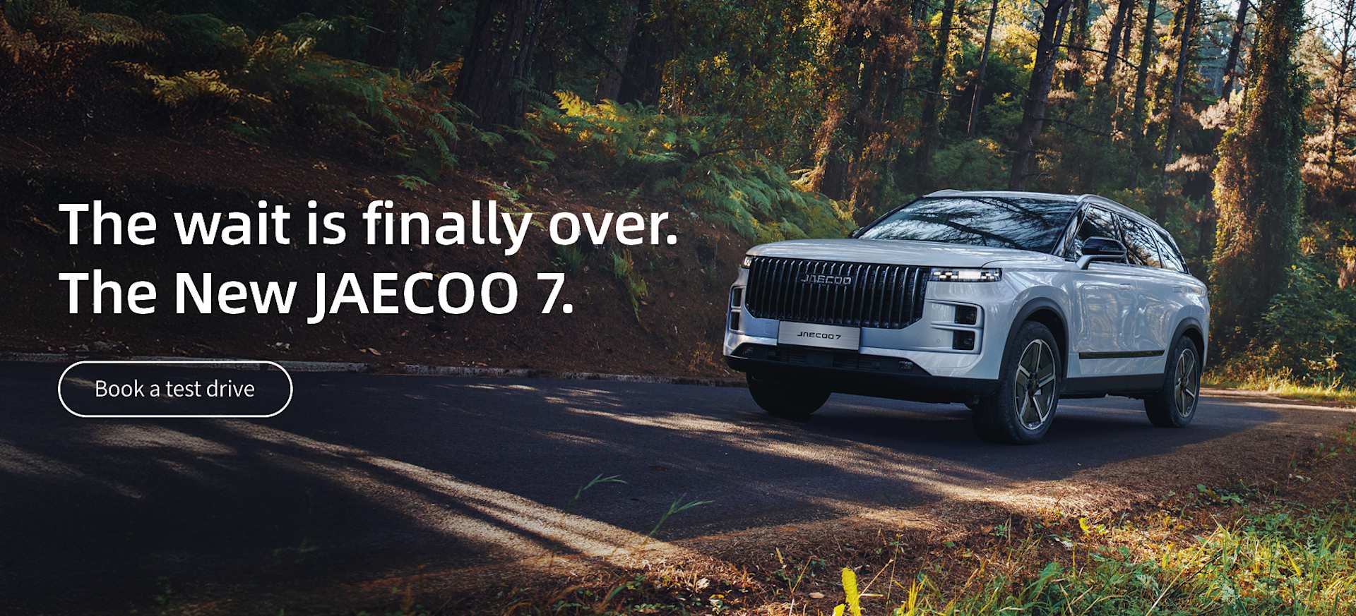 Jaecoo 7