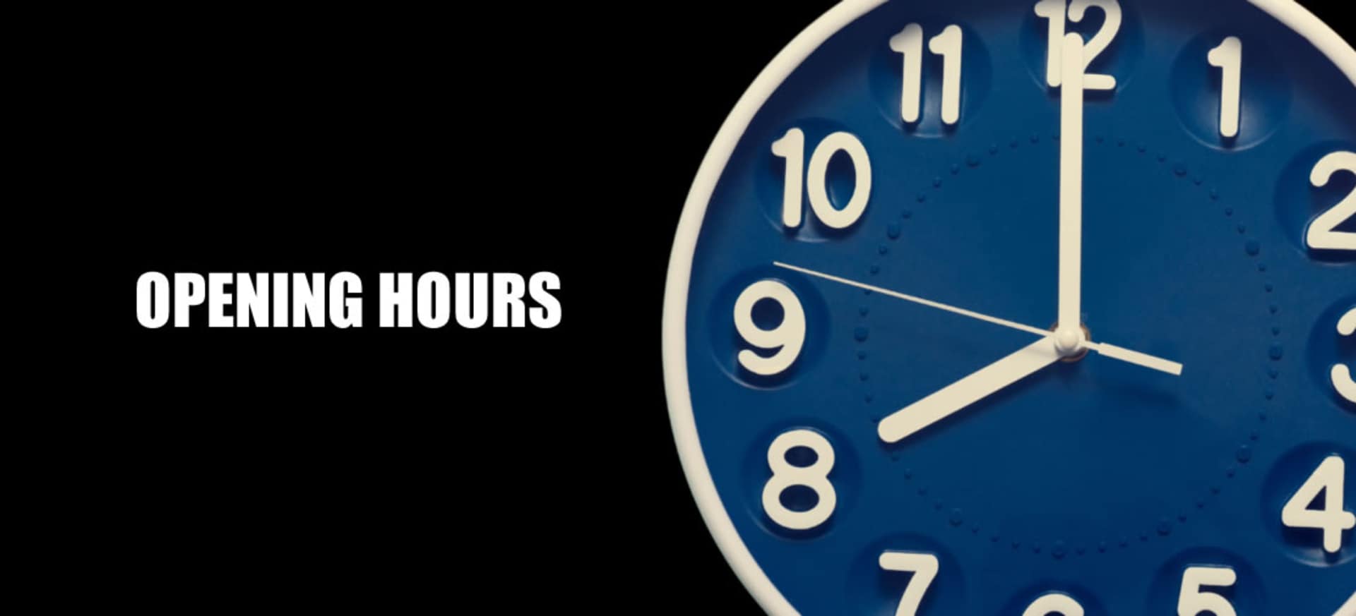 Bank Holiday Opening Hours