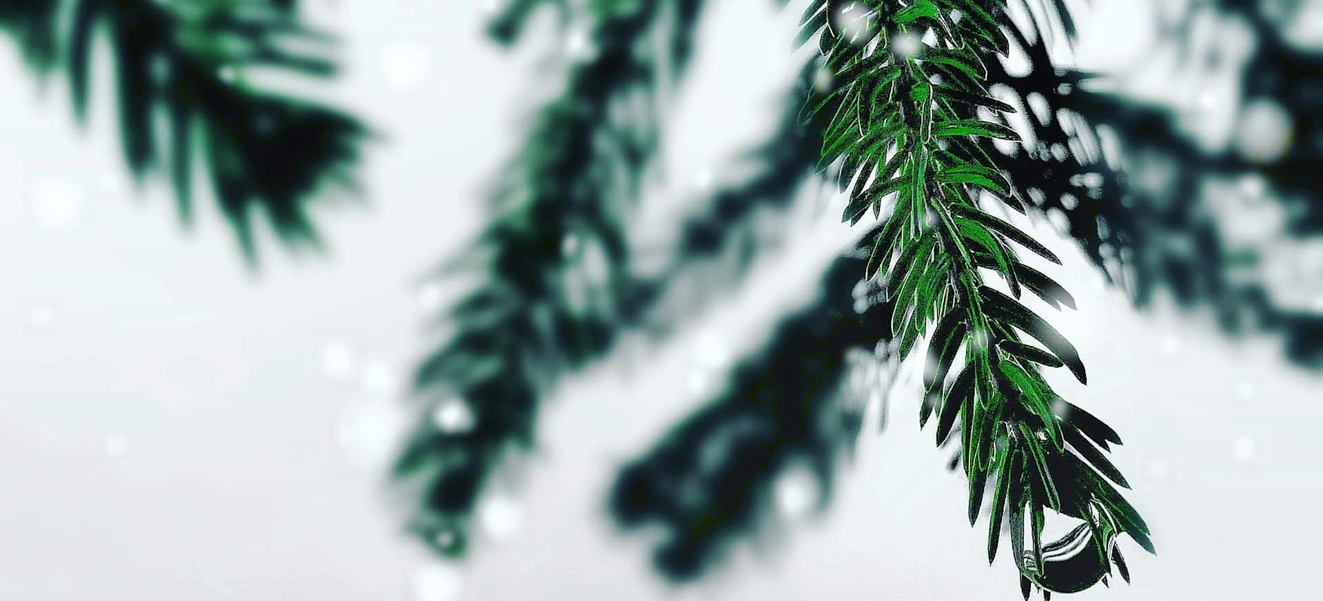 CHRISTMAS OPENING HOURS