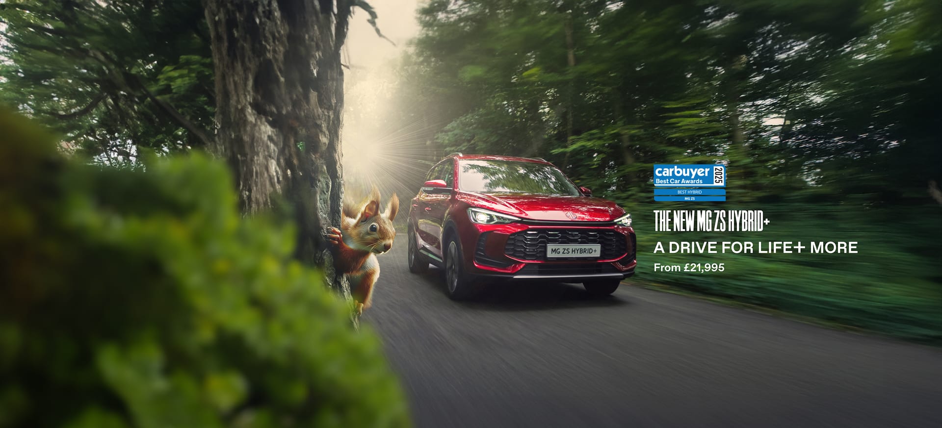 mg zs banner