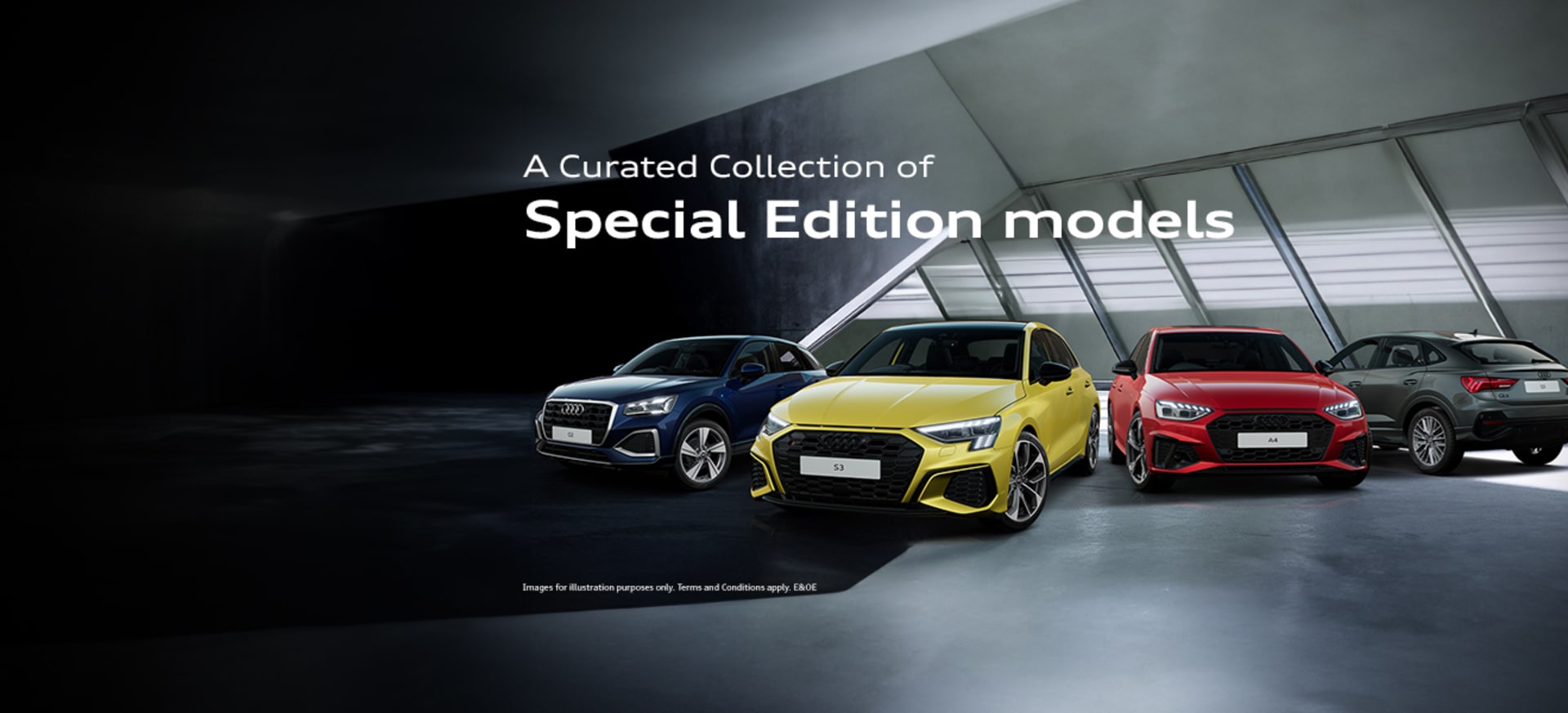 Audi a Curated Collection of Special Edition models