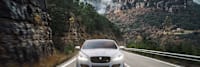 Jaguar Versus Event | Marshall Jaguar