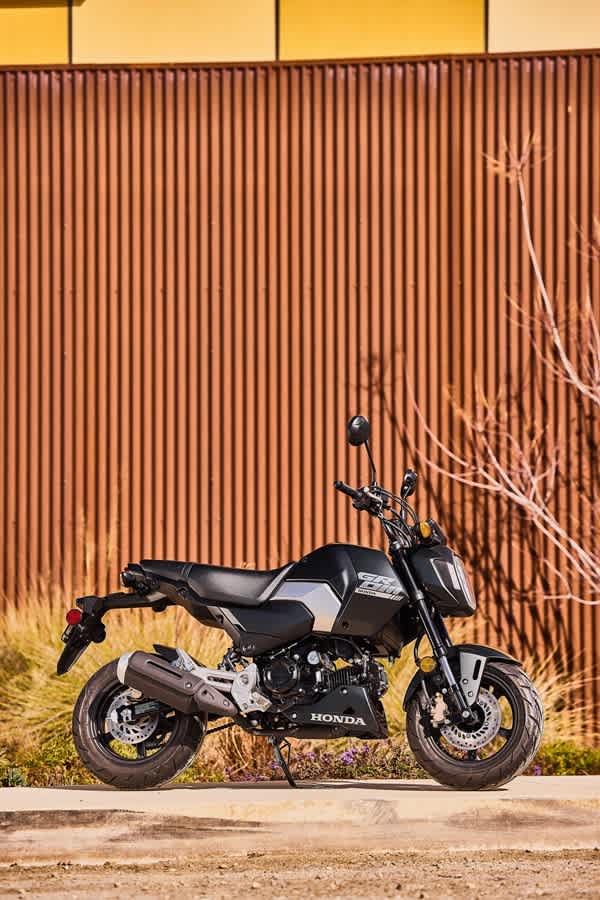 Msx 50cc outlet