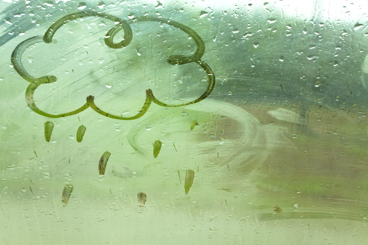 How to Stop Condensation on Car Windows