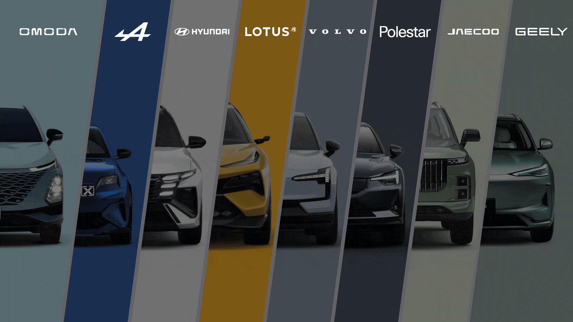 Discover our brands