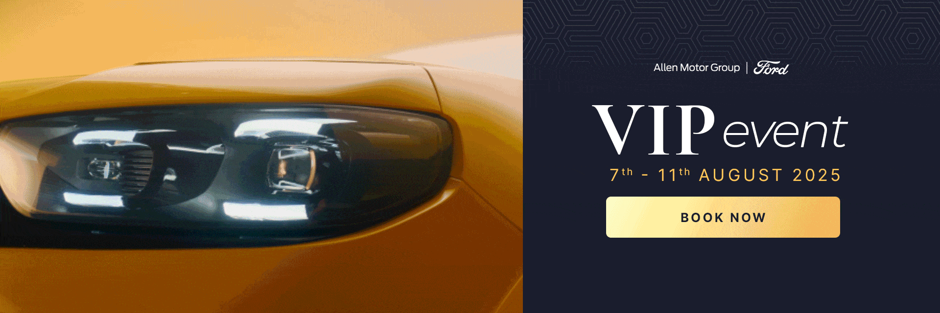 Ford VIP q3-25