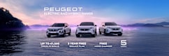 Peugeot 251 Offer