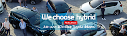 WE CHOOSE HYBRID