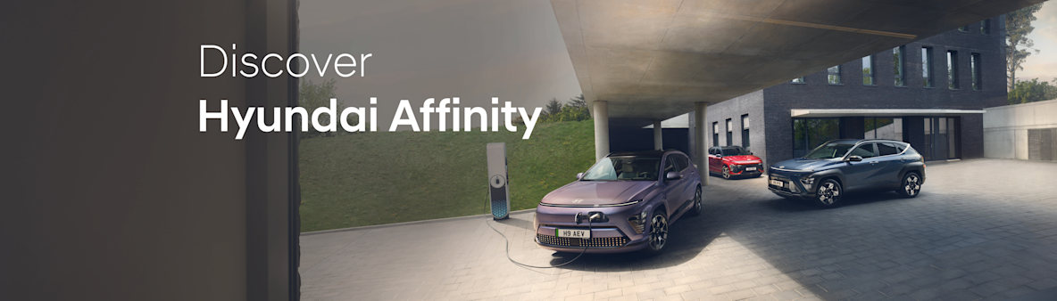 Hyundai Affinity Scheme 