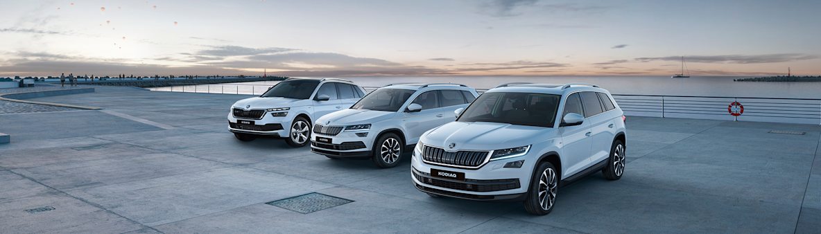 All Electric Skoda Contract Hire Leasing